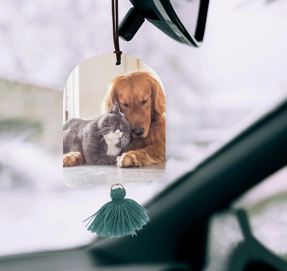 Car Air Fresheners